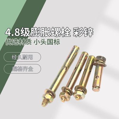 4.8级 Q235 膨胀螺栓 彩锌 小头国标 M6~M20