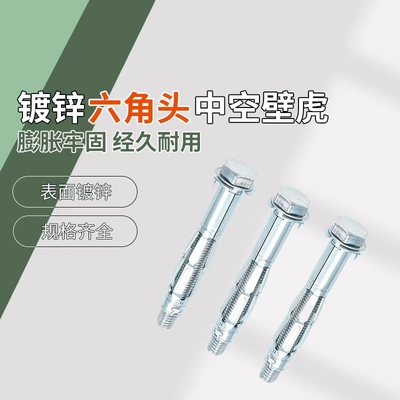 M6 M8 镀锌六角头中空壁虎